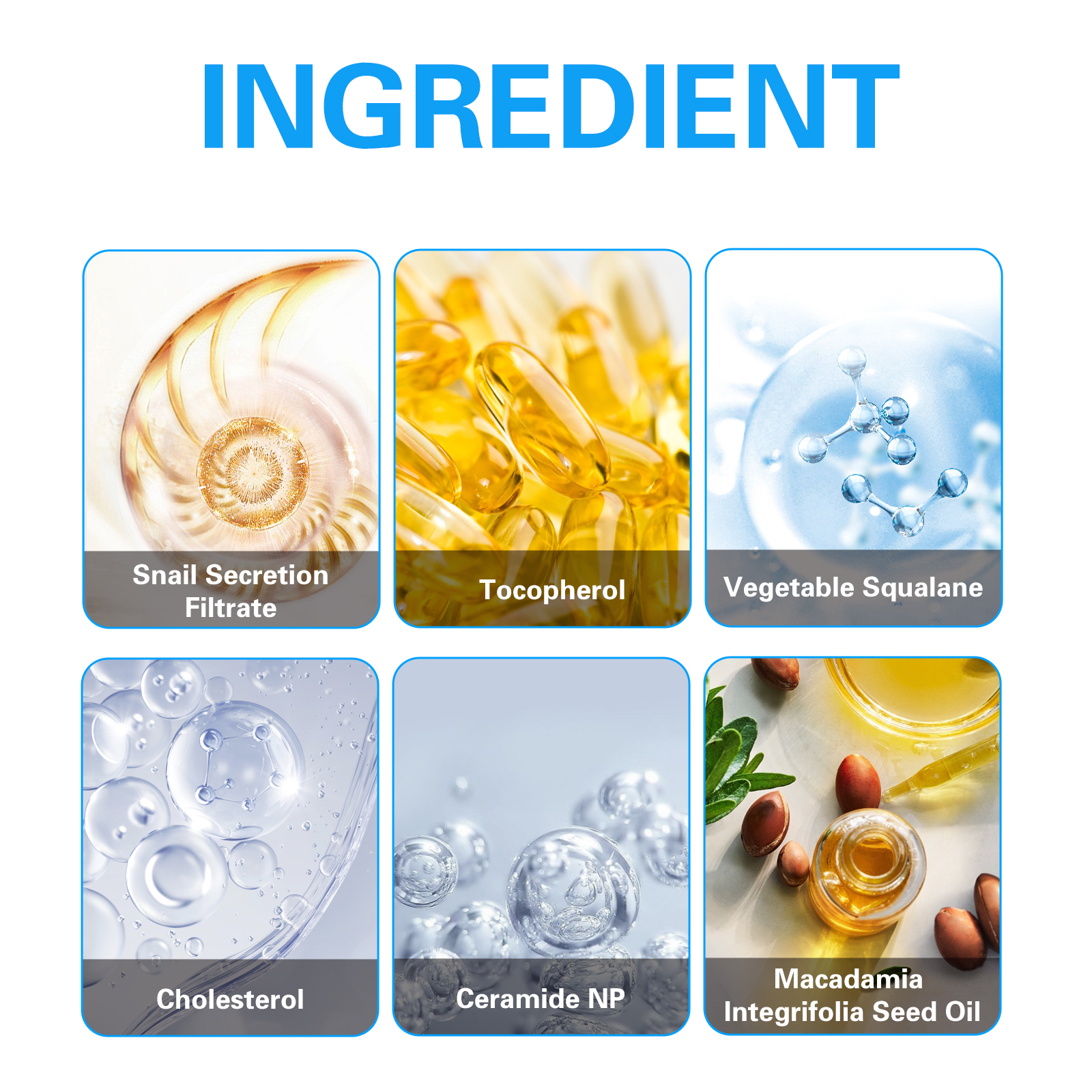 Snail Mucin 92% Moisturizing A - Snail Mucin Essence のレビューと価格
